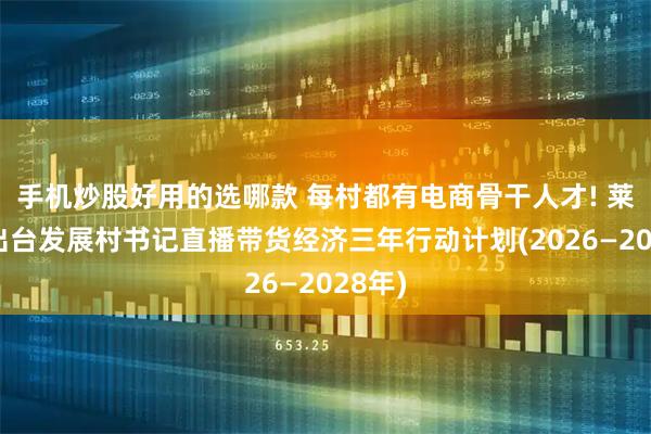 手机炒股好用的选哪款 每村都有电商骨干人才! 莱西市出台发展村书记直播带货经济三年行动计划(2026—2028年)