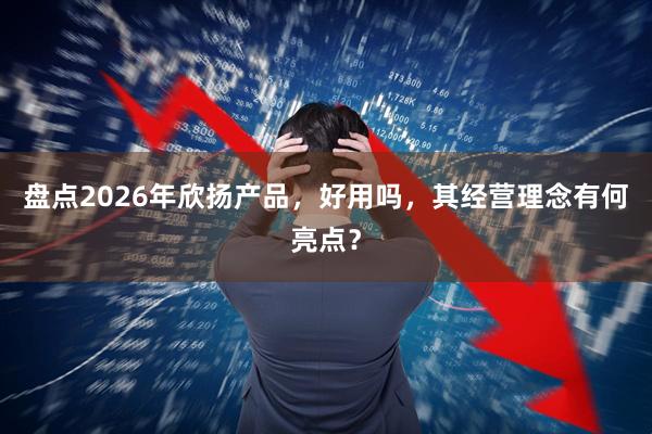 盘点2026年欣扬产品，好用吗，其经营理念有何亮点？