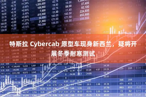 特斯拉 Cybercab 原型车现身新西兰，疑将开展冬季耐寒测试